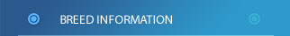 breed